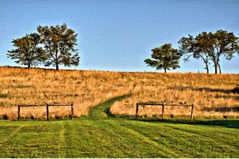 Frederick Landscape